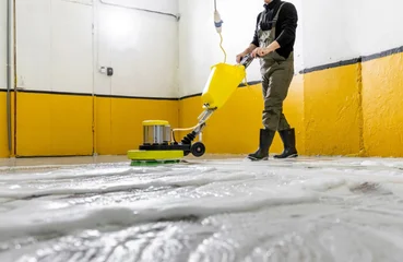 Best Home Carpet Cleaner Machine For Organic Cleaning