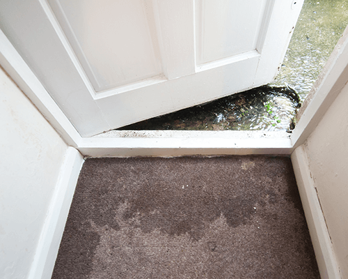 water damage repair on carpet or rug